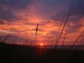 Impressionen...(800x600)