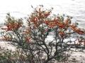 Impressionen...(444x328)