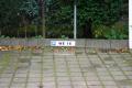 Hier ist ihr Parkplatz, g...(800x533)