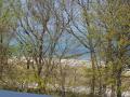 Strand�bersicht in Richtu...(800x600)