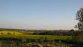 Vom Balkon mit Blick in d...(800x450)